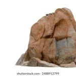 畅玩真钱棋牌手机APP,体验真实对战乐趣 2bbaj0jc