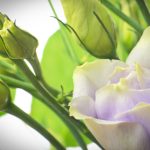 如何选择安全可靠的手机真人赌钱平台? si0lk